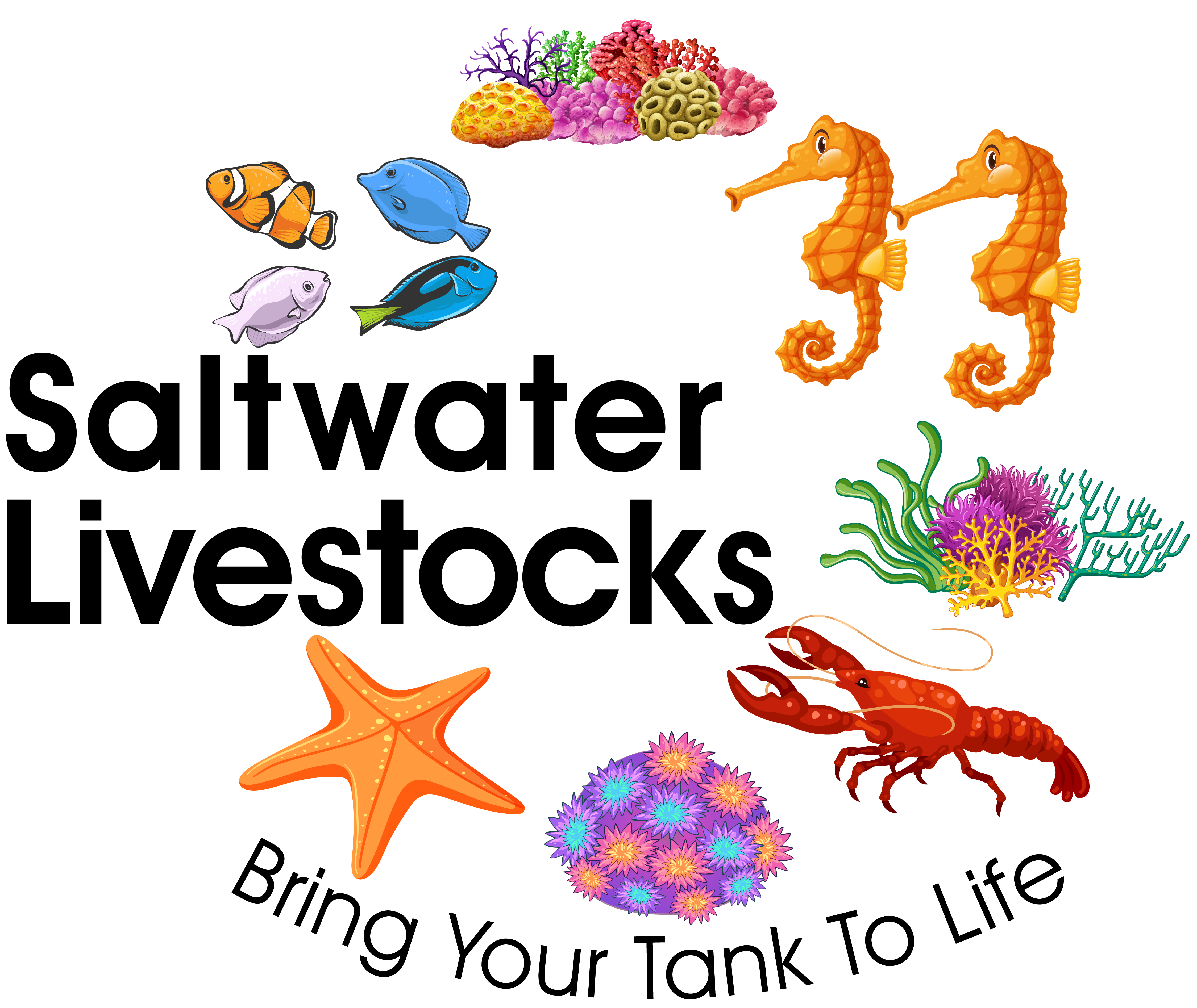 SaltWaterLiveStocks