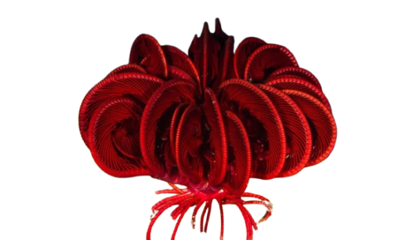 Feather Starfish (Red/Black) - Image 1