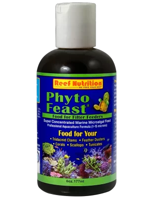 Phyto-Feast Live-6 oz