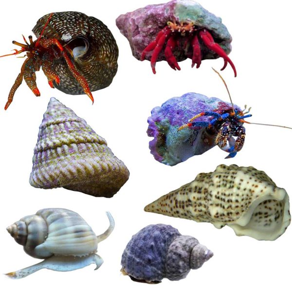 40 - 65 Gallon Cleaning Crew Package - Image 1